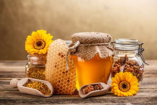 Можно ли мёд на диете